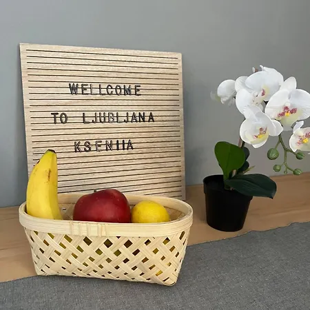 Blizu Centra In Na Robu Tivolija * Λιουμπλιάνα